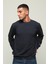 Owut Collection Erkek Regular Fit Uzun Kollu Bisiklet Yaka Sweatshirt 3