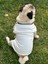 Köpek T-Shirt , Köpek Zincirli T-Shirt , Kedi Zincirli T-Shirt 1