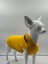 Köpek T-Shirt , Köpek Zincirli T-Shirt , Kedi Zincirli T-Shirt 2