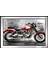 Triumph Motosiklet-2 Motifli Kanvas Tablo 1