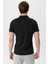 Erkek Basic Polo T-Shirt 5