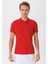 Erkek Basic Polo T-Shirt 2