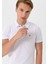 Erkek Basic Polo T-Shirt 1