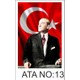 Seçili Renk Standart