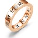  Renk Rose Gold