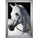  Renk Silver