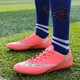  Renk Pembe