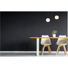 Riolight Riolıght Modern,retro,vintage Opal Beyaz Camlı 2XE27 Sıralı Siyah Metal Gövde Masa Üstü Sarkıt Avize