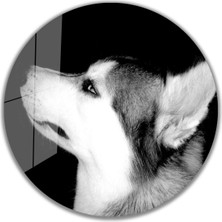 Bay Çağrı Kurt Yuvarlak Cam Tablo 4mm Dayanıklı Temperli Cam