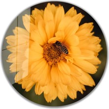 Bay Çağrı Çiçek Yuvarlak Cam Tablo 4mm Dayanıklı Temperli Cam