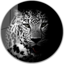 Bay Çağrı Kaplan Yuvarlak Cam Tablo 4mm Dayanıklı Temperli Cam