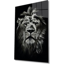 Bay Çağrı Aslan Hayvan Portresi Cam Tablo, Ev ve Ofis Duvar Dekoru, Hediyelik Büyük Temperli 4 mm Cam Tablo