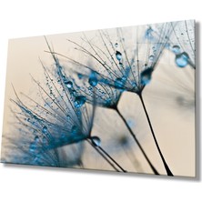 Bay Çağrı Mavi Karahindiba Cam Tablo