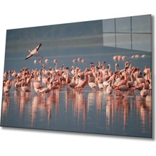 By Çağrı Flamingo Cam Tablo