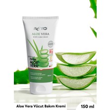 Acto Aloe Vera Body Care Cream - Aloe Vera Özlü Vücut Bakım Kremi - Yeni Formül 150 ml