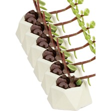 Kaktüs Saksı Dünyası El Yapımı Saksı Seti Dekoratif 6 Adet Saksı Küçük Boy Model 27