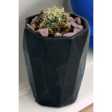 Kaktüs Saksı Dünyası El Yapımı Saksı Dekoratif Saksı Küçük Boy Model 36