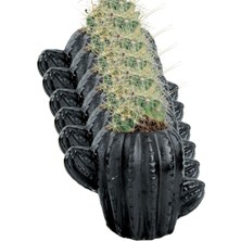 Kaktüs Saksı Dünyası El Yapımı Saksı Seti Dekoratif 6 Adet Saksı Küçük Boy Model 11