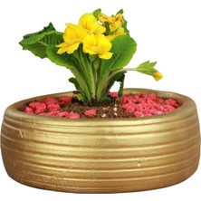 Evene Çiçek Saksısı Büyük Beton Saksı Model4