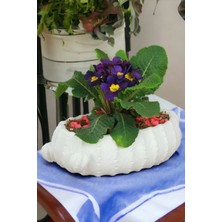 Kaktüs Saksı Dünyası El Yapımı Saksı Premium Kalite Dekoratif Saksı Model 3