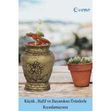 Evene Mini Çiçek Saksısı Küçük Sukulent Kaktüs Saksı 3 Adet Set Desenli Vazo Model
