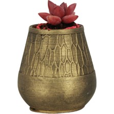 Evene Kaktüs Saksısı Dekoratif Saksı Model 17