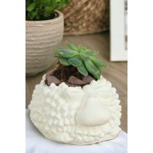 Kaktüs Saksı Dünyası El Yapımı Saksı Dekoratif Saksı Küçük Boy Model 6