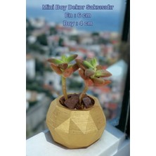 Kaktüs Saksı Dünyası El Yapımı Saksı Dekoratif Saksı Küçük Boy Model 8
