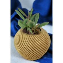 Kaktüs Saksı Dünyası El Yapımı Saksı Dekoratif Saksı Küçük Boy Model 1