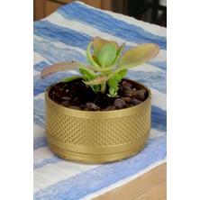 Kaktüs Saksı Dünyası El Yapımı Saksı Premium Kalite Dekoratif Saksı Model 17