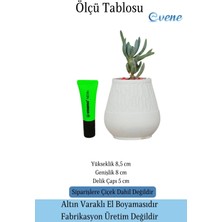 Evene Kaktüs Saksısı Dekoratif Saksı Model 17