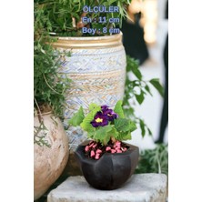 Kaktüs Saksı Dünyası El Yapımı Saksı Premium Kalite Dekoratif Saksı Pantolonlu