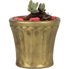 Evene Saksı Kaktüs Saksısı Dekoratif Saksı Model 8