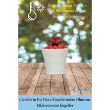 Evene Saksı Kaktüs Saksısı Dekoratif Saksı Model 8