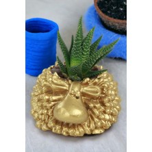 Kaktüs Saksı Dünyası El Yapımı Saksı Dekoratif Saksı Küçük Boy Model 6