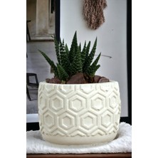 Viselia Premium Saksı Minyatür Dekoratif Kaktüs Sukulent Saksısı Model 2