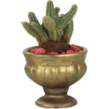 Evene Kaktüs Saksısı Dekoratif Saksı Model 3