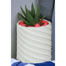 Kaktüs Saksı Dünyası El Yapımı Saksı Dekoratif Saksı Küçük Boy Model 37