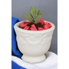 Kaktüs Saksı Dünyası El Yapımı Saksı Dekoratif Saksı Küçük Boy Model 31