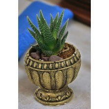 Kaktüs Saksı Dünyası El Yapımı Saksı Dekoratif Saksı Küçük Boy Model 17