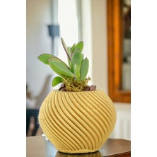 Viselia Premium Saksı Minyatür Dekoratif Kaktüs Sukulent Saksısı Model 1