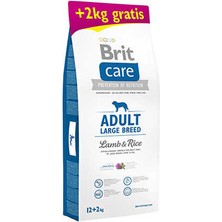 Ars Brit Care Hypo-Allergenic Kuzulu Büyük Irk Yetişkin Köpek Maması 12+2 kg