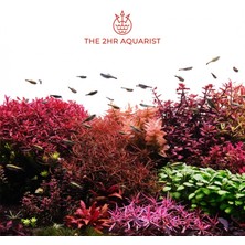 The 2Hr Aquarist 2hr Aquarist   Apt Sky 150GR