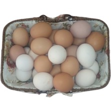 Güneş Doğal Ürünler Gezen Tavuk Köy Yumurtası