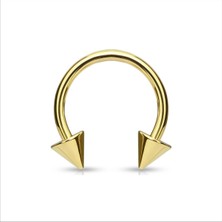 Rupen Kraft 316 Cerrahi Çelik Spike Dudak Kıkırdak Septum Helix Tragus Piercingi