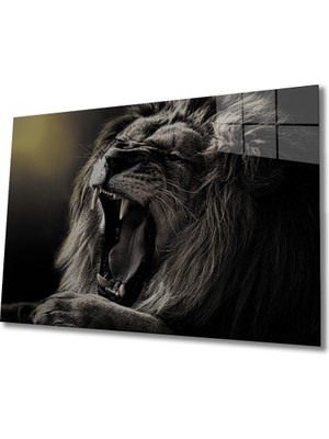 Bay Çağrı Aslan 4 Cam Tablo