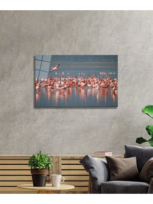 By Çağrı Flamingo Cam Tablo