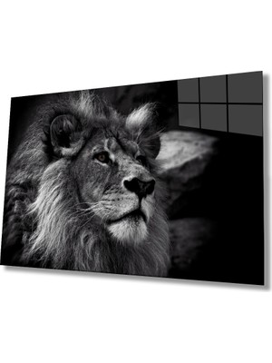 By Çağrı Aslan Hayvan Cam Tablo 4mm Dayanıklı Temperli Cam