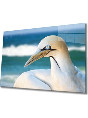 By Çağrı Martı Cam Tablo