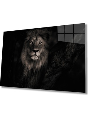 By Çağrı Aslan 25 Hayvan Cam Tablo